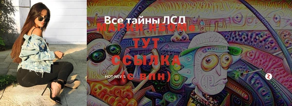 стафф Богданович